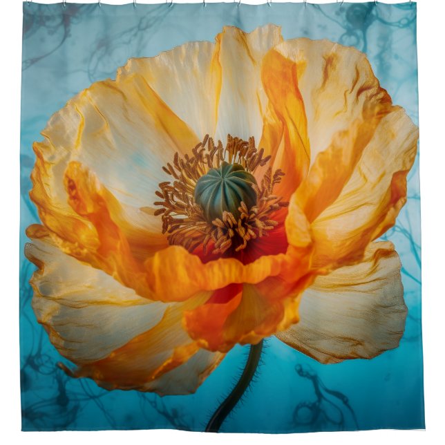 Orange Beauty  (Front)