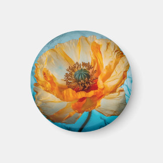 Orange Beauty Magnet