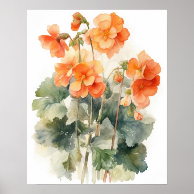 Orange Begonia Flowers Art Imprimer Poster (Devant)