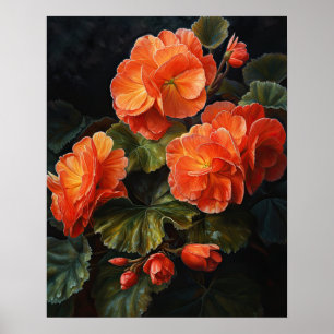 Orange Begonia Flowers Art Imprimer Poster