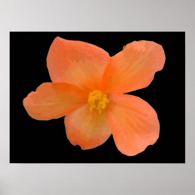 Orange Begonia Print (Front)