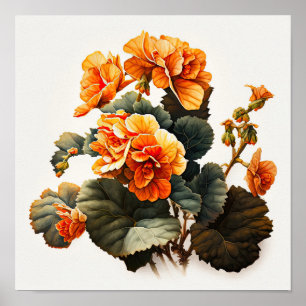Orange Begonias Flower Art Imprimer Poster