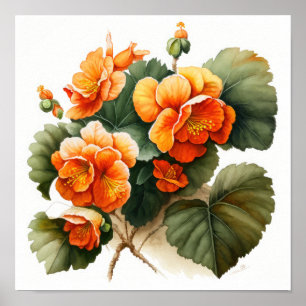 Orange Begonias Flower Art Imprimer Poster