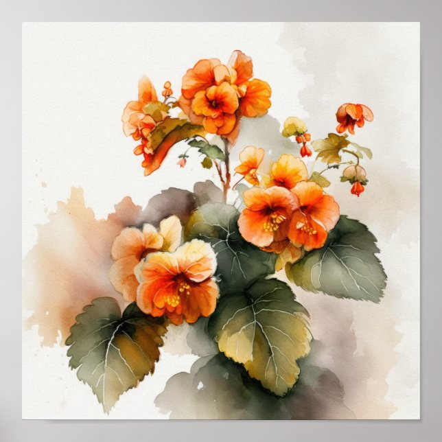 Orange Begonias Flower Art Imprimer Poster (Devant)