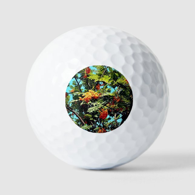 Orange berries golf balls (Front)