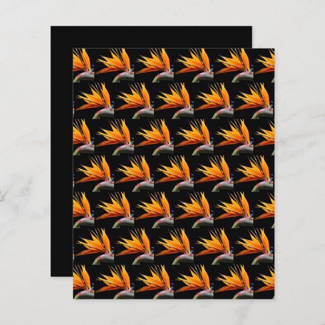Orange Bird of Paradise Black Scrapbook Paper (Front/Back)