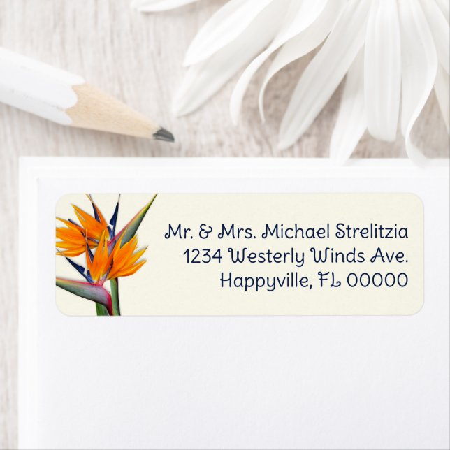 Orange Bird of Paradise Flowers Return Address (Insitu)