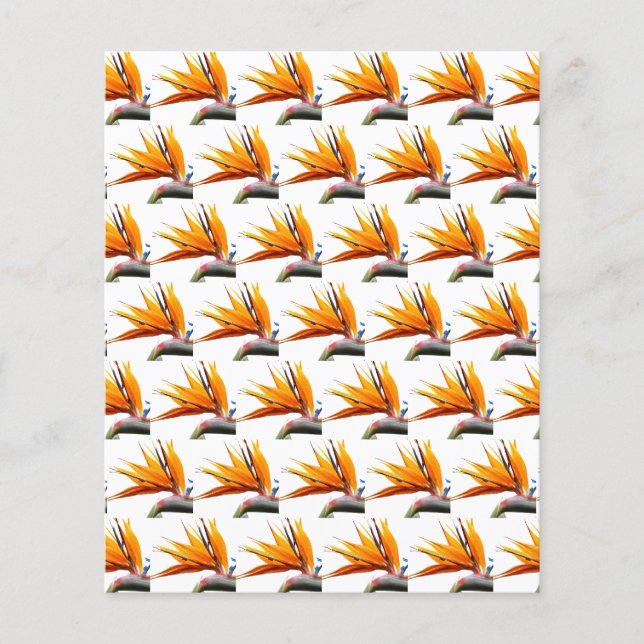 Orange Bird of Paradise Pattern Scrapbook Paper (Front)