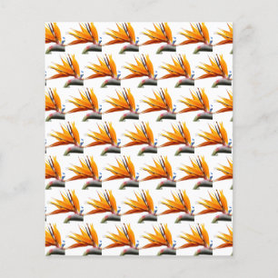 Orange Bird of Paradise Pattern Scrapbook Paper