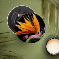 Orange Bird of Paradise Plant Bloom Aloha