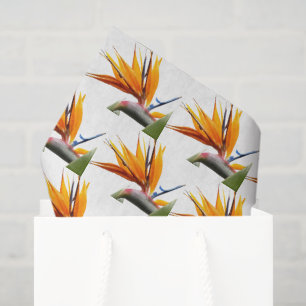 Orange Bird of Paradise Plant Floral Pattern Tissue Paper