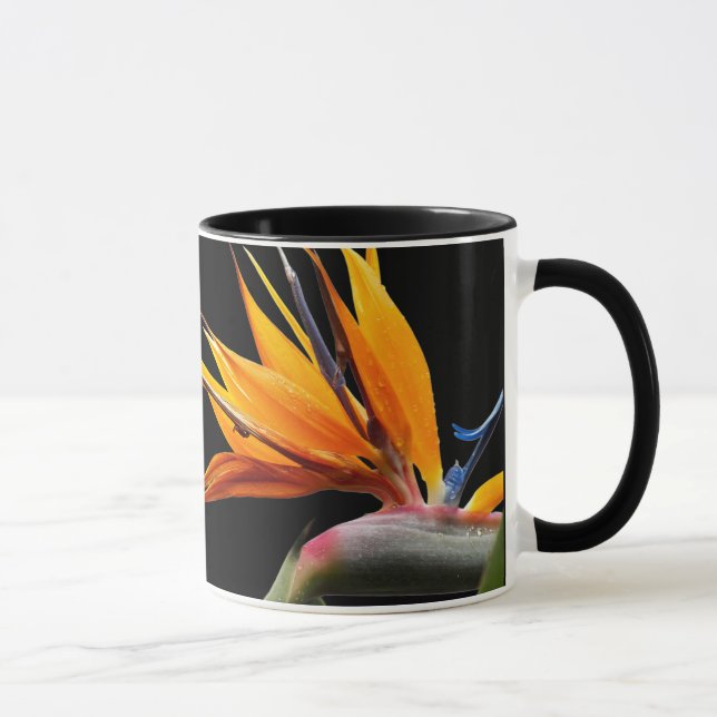 Orange Bird of Paradise Plant on Black Mug (Right)