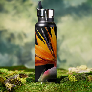 Orange Bird of Paradise Plant on Black Water Bottle