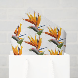 Orange Bird of Paradise Plant Pattern on White Tissue Paper