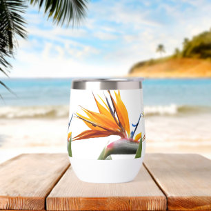Orange Bird of Paradise Plante Motif en blanc