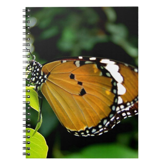 Orange, Black and White Butterfly on Leaf Notebook (Front)