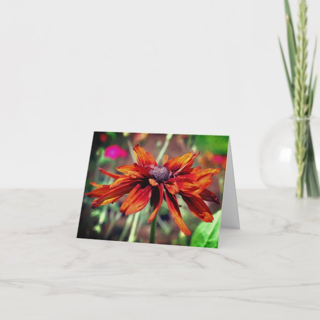 Orange Black Eyed Susan Flower Blank Note Card (Front)