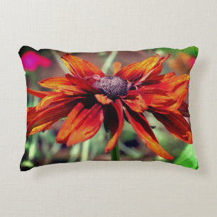 Orange Black Eyed Susan Flower Close Up   Accent Pillow