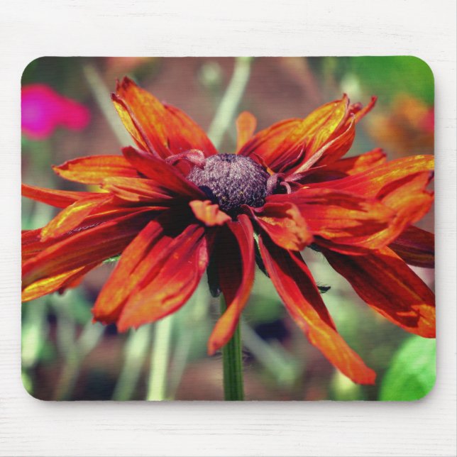 Orange Black Eyed Susan Flower  Mouse Pad (Front)