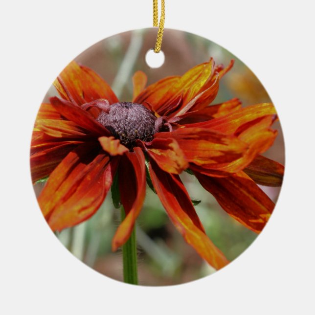Orange Black Eyed Susan Flower Ornament (Front)