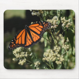 Orange Black Monarch Butterfly Nature Photography Mouse Pad
