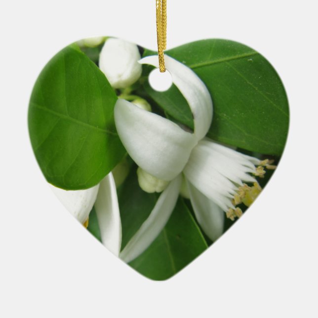 Orange Blossom Ceramic Ornament (Front)
