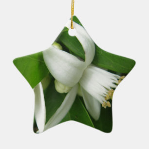 Orange Blossom Ceramic Ornament
