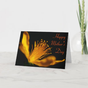 Orange Blossom Mother's Day Card