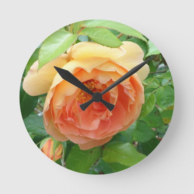 Orange Blush Rose Round Clock (Front)