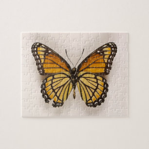 Orange Brown Winged Butterfly Puzzle