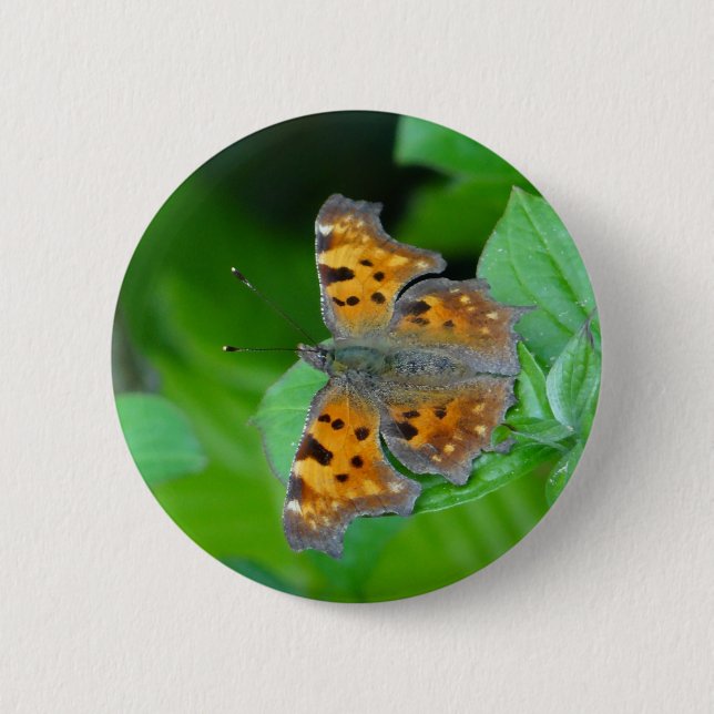 Orange butterfly 2 inch round button (Front)