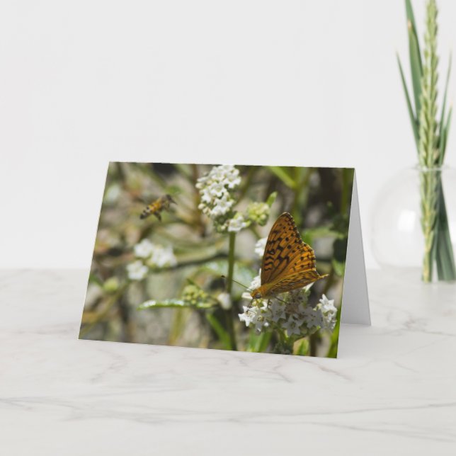 Orange Butterfly and Bee Card (Front)