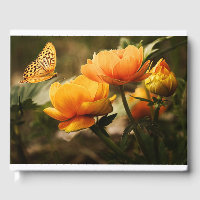 Orange Butterfly and Flowers