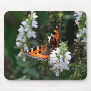Orange Butterfly and White Blossoms Mouse Pad