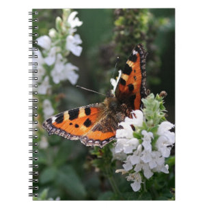 Orange Butterfly and White Blossoms Notebook