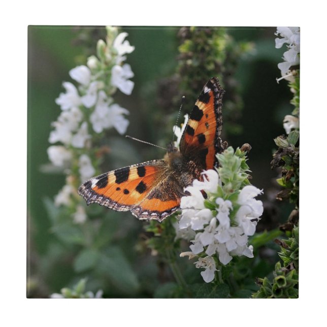 Orange Butterfly and White Blossoms Tile (Front)