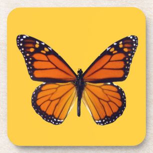Orange Butterfly Coasters