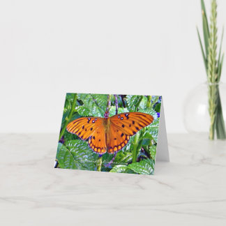 Orange butterfly holiday card