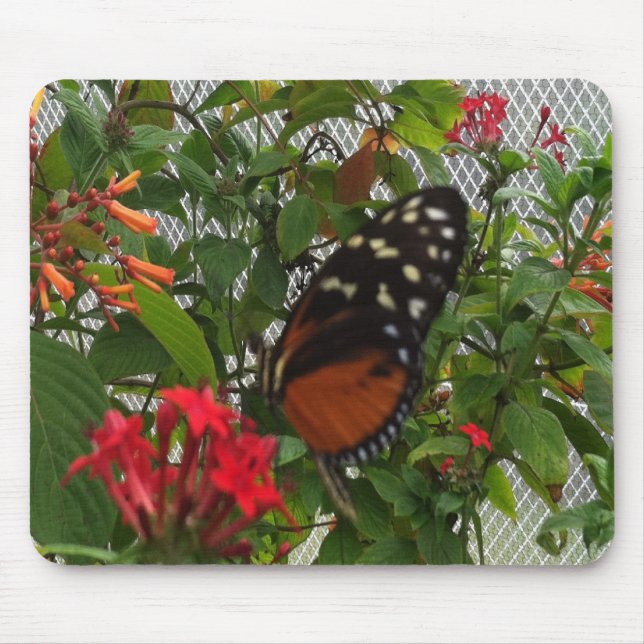 ORANGE BUTTERFLY MOUSE PAD (Front)