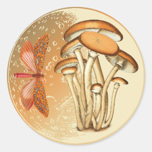 Orange Butterfly Mushroom Moon  Classic Round Sticker