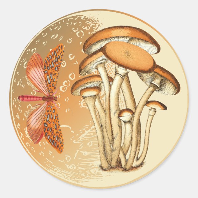 Orange Butterfly Mushroom Moon   Classic Round Sticker (Front)