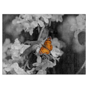 Orange Butterfly On Cutting Board