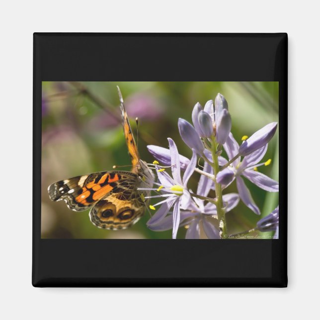 Orange Butterfly on Wild Hyacinth Apparel & Gifts Magnet (Front)