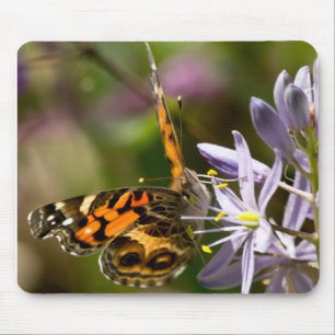 Orange Butterfly on Wild Hyacinth Apparel & Gifts Mouse Pad