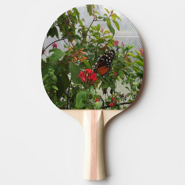 ORANGE BUTTERFLY PING PONG PADDLE (Front)