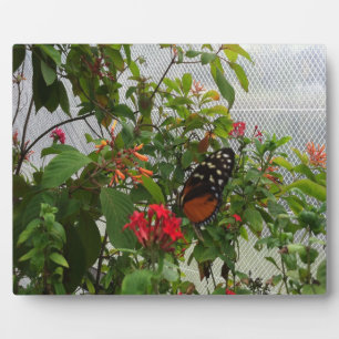 ORANGE BUTTERFLY PLAQUE