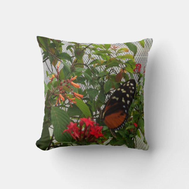 ORANGE BUTTERFLY THROW PILLOW (Front)