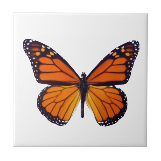 Orange Butterfly Tile (Front)