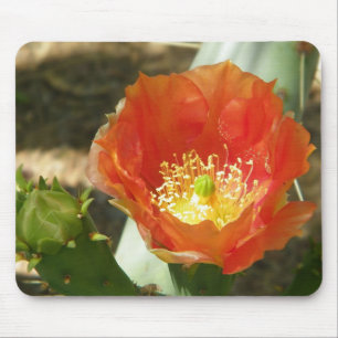 Orange cactus flower mousepad