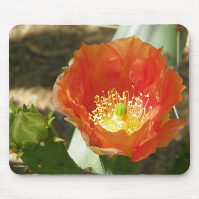 Orange cactus flower mousepad (Front)